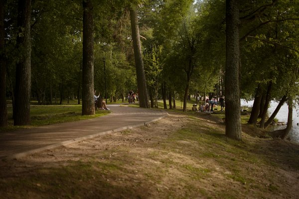 Achat de matériel de massage : guide complet