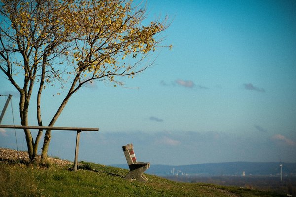 Entraînement matinal pour perdre du poids : avantages et inconvénients